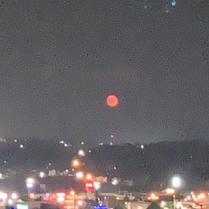 Meet your Posher, Marguerite